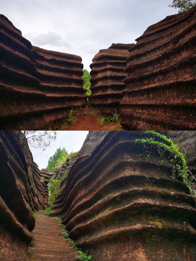 Guizhou surrounding tour | Songtao Hongshilin
