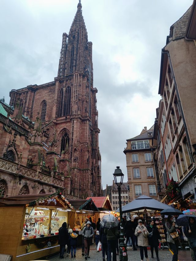 The stunning Strasbourg Cathedral.