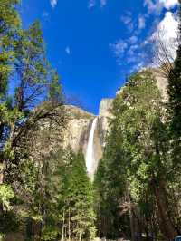 California | Yosemite National Park Photo Sharing 2