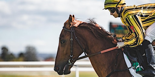 Midweek Racing | Tuesday 13 February | Hawkesbury Race Club
