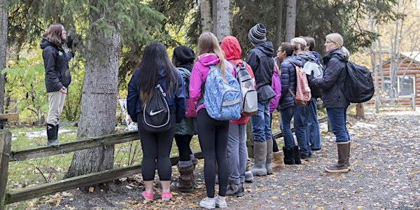 April 2025 Self Guided Safari Zoo Field Trips | Alaska Zoo
