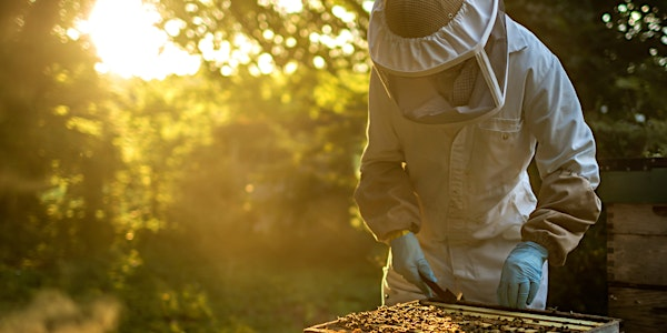 Beekeeping Demonstration | Boconnoc Estate