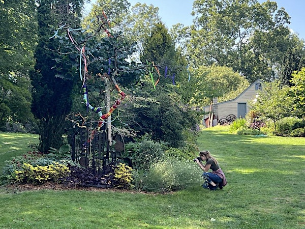 Monthly Meet Up: Photography in the Gardens | Bedrock Gardens