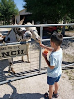 Farm Play date July 2 | 5450 Higginbotham Rd