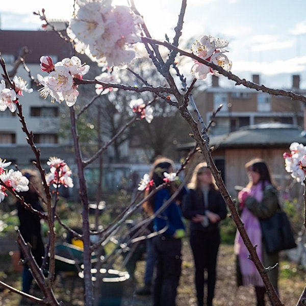 London Sinfonietta: Ladies in Bloomers | Story Garden