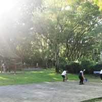 清靜地休息 - 馬鞍山郊野公園