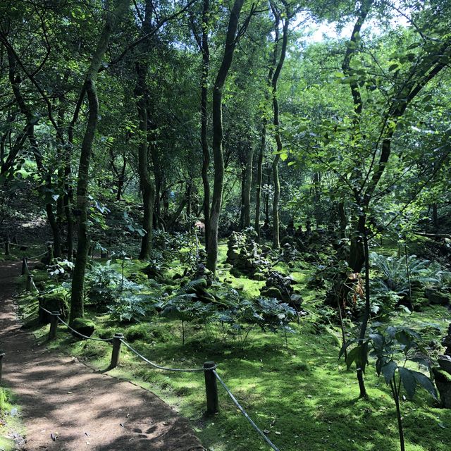 [춘천여행코스]제이드가든🌿&춘천 닭갈비코스🍖