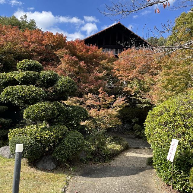 秋のお庭散策