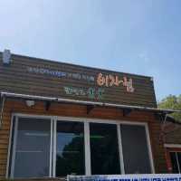 제주도 여행 - 비자림