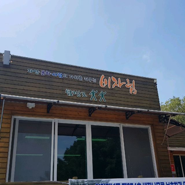제주도 여행 - 비자림