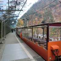 【富山】トロッコ電車に乗って出逢えた秘境