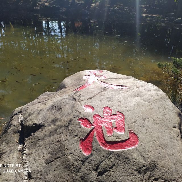 《台中》福壽山農場 天池～