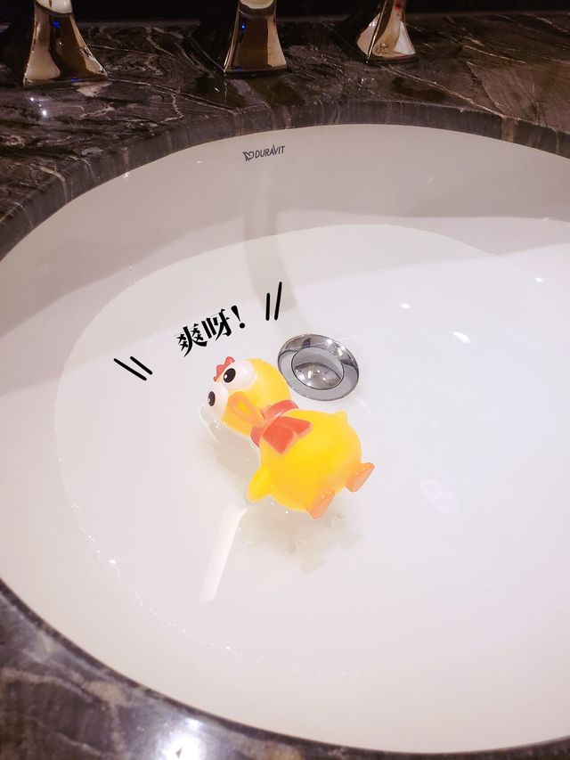 帶著小雞遊路氹