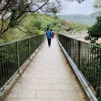 港版嵐山竹林之道