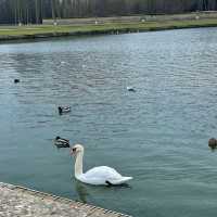   Palace of Versailles