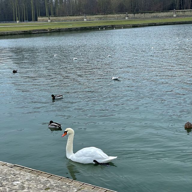   Palace of Versailles