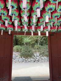 경주 추억의 여행장소