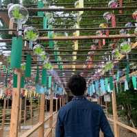 京都にある正寿院に行ってきた🎶