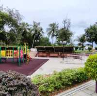 圍封多時，休養生息後的公園及海灘