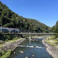 【神奈川】紫陽花を見ながら電車の旅