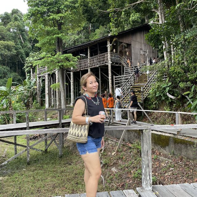 Rainforest World Music Festival