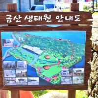 🌳 제주 원도심의 숨겨진 작은공원, 금산생태원