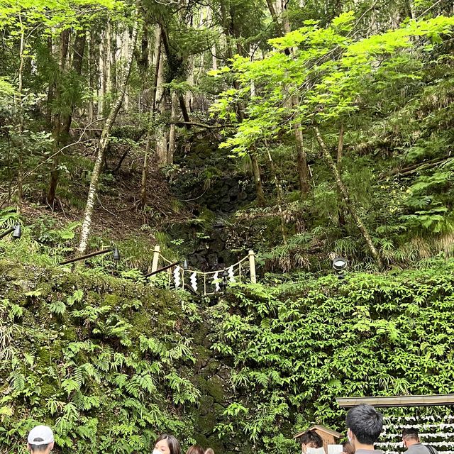 【京都】夏の涼を求めて訪れたい場所