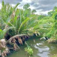 ขี่จักรยานชมธรรมชาติที่บางกระเจ้ากัน