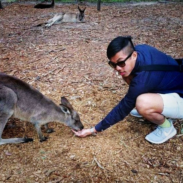 Petting Zoo In Gold Coast Australia