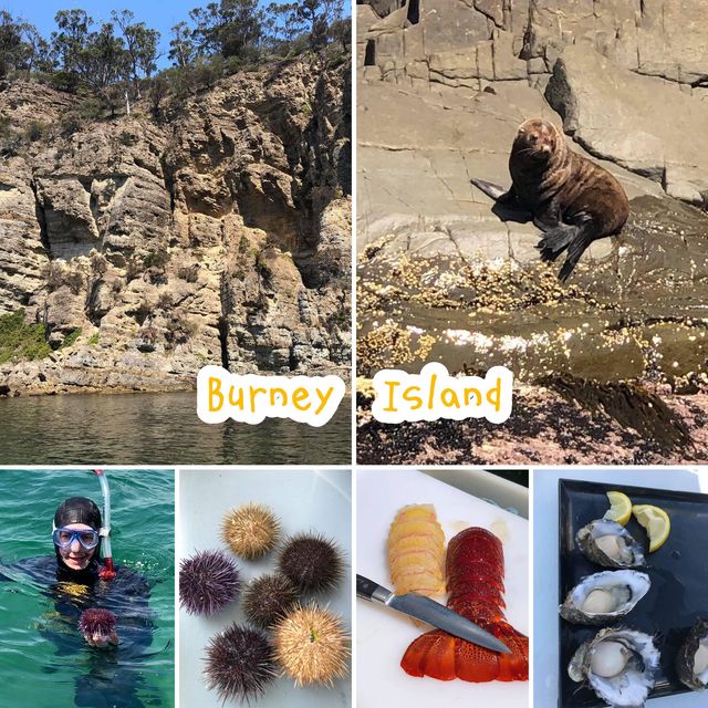 新鮮海鮮🦞之旅親手活捉海鮮塔斯曼尼亞初體驗