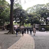 東京裡的聖地神宮⛩遼闊綠地森林一起來淨化心靈吧☺️