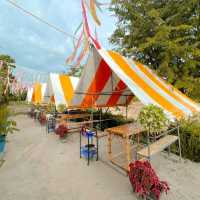บ้านสวนเสาวรส #ร้านนั่งชิลล์ฮาลาล