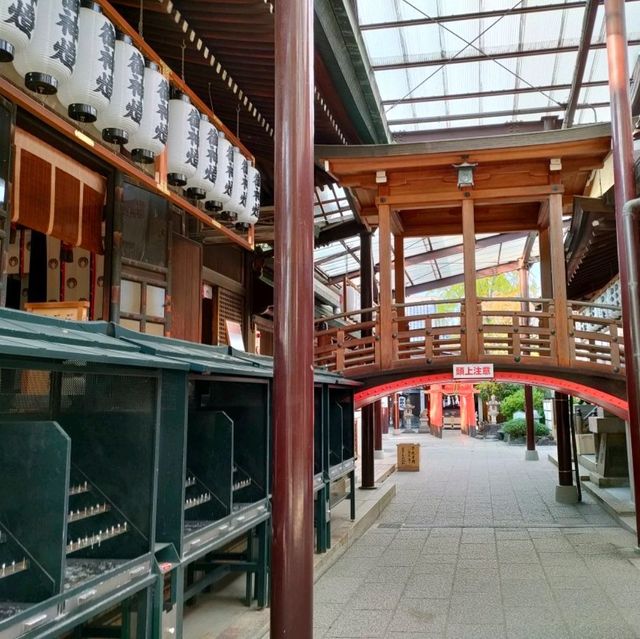 【大阪 東大阪】秋の石切さん✨