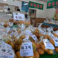 安い！うまい！いつでも買える！みかん専門店