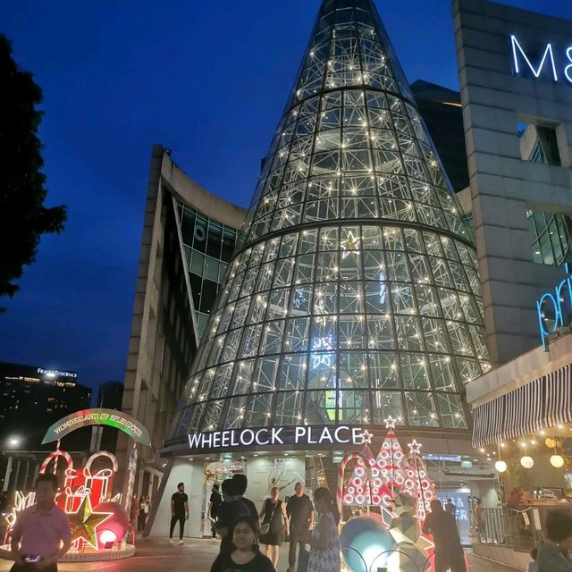 annual Xmas light up at Orchard Rd