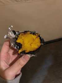온수풀까지 있는 분위기 끝판왕 글램핑장 가평 ’크리스월드‘ 🏕️🥩🧳🔥