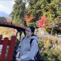 มรดกโลก สะพานชินเคียว🍁🍁🍁