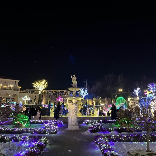 크리스마스엔 별빛정원-파주 퍼스트가든🎄✨