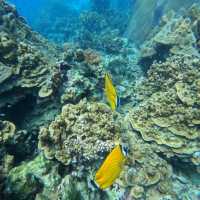First Time Snorkeling