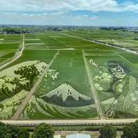 世界最大の田んぼアート