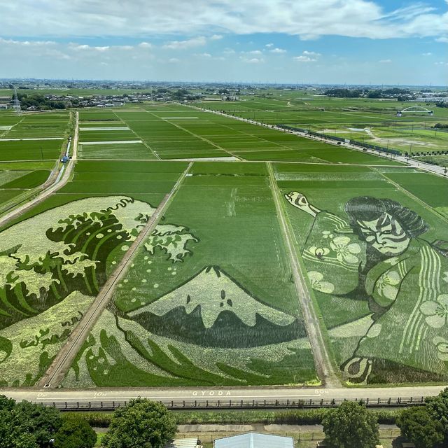 世界最大の田んぼアート