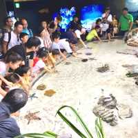 美麗海水族館