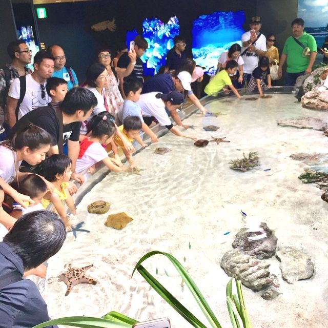 美麗海水族館