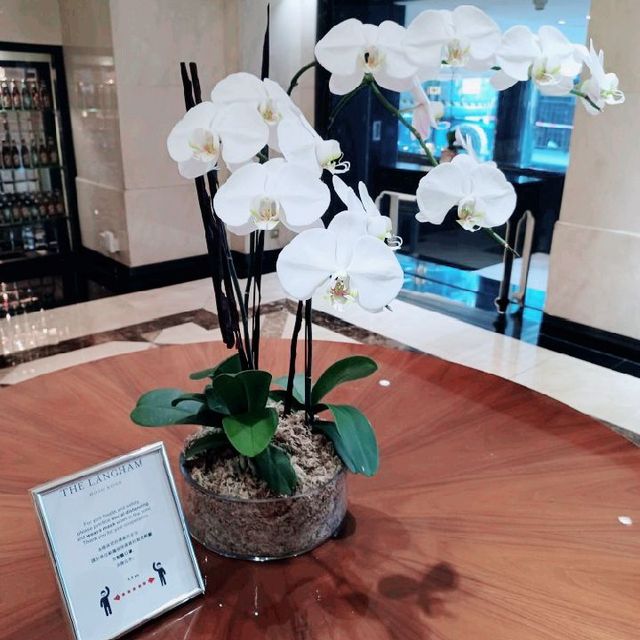 五星級酒店服務🌟歐陸風格典雅奢華卻不俗氣👑