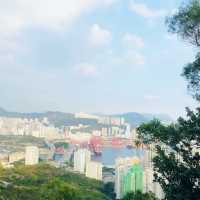 青衣自然教育徑睇日落