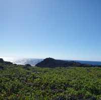 【沖縄･下地島】空港近くの神秘的な池