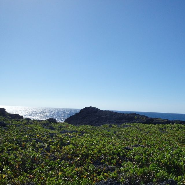 【沖縄･下地島】空港近くの神秘的な池