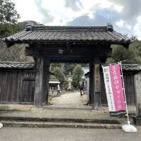 【静岡】鎌倉殿の13人・北条家ゆかりの地「願成就院」