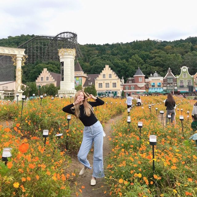 언제가든 행복한 곳, 에버랜드🎡