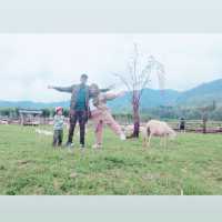 Manggala Farm Cilongok Purwokerto